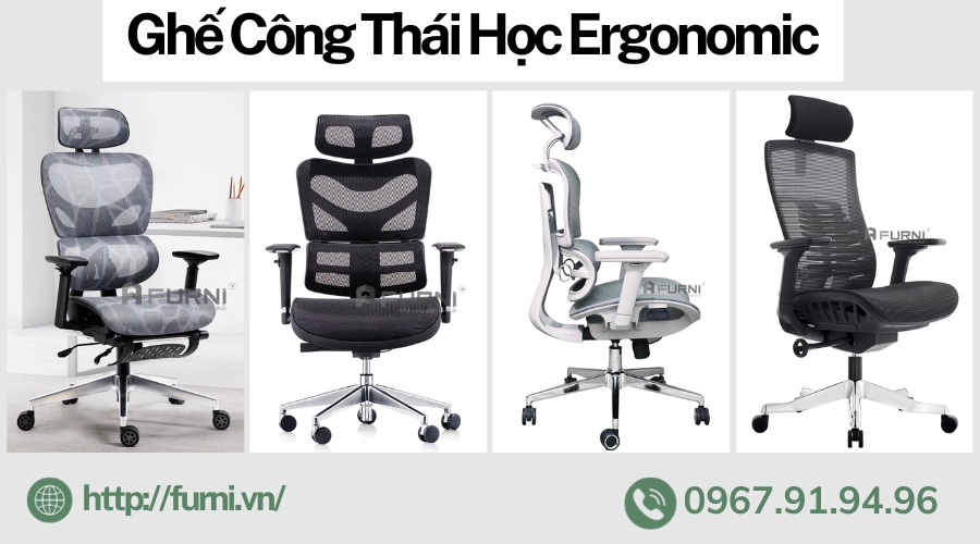 Mua Ghế Công Thái Ergonomic Cao Cấp Bảo Vệ Cột Sống Tốt Nhất Hiện Nay 